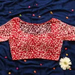 Dilruba Net - red